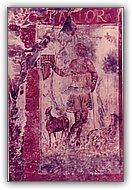 Ingrandisci